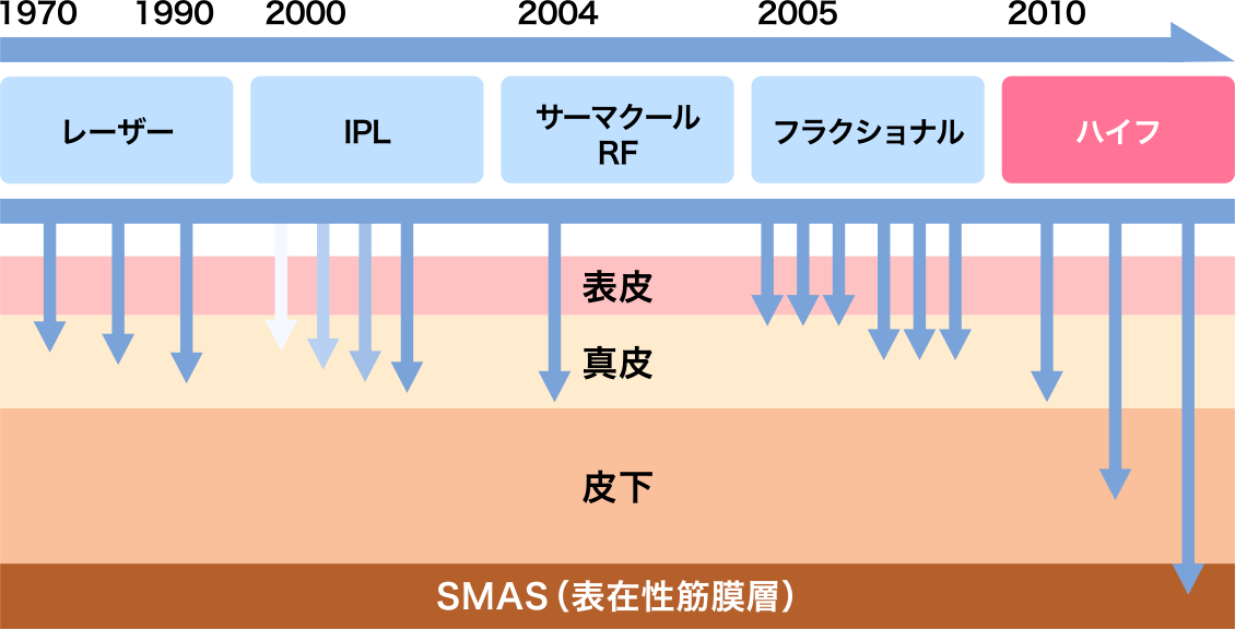 SMAS(表在性筋膜層)